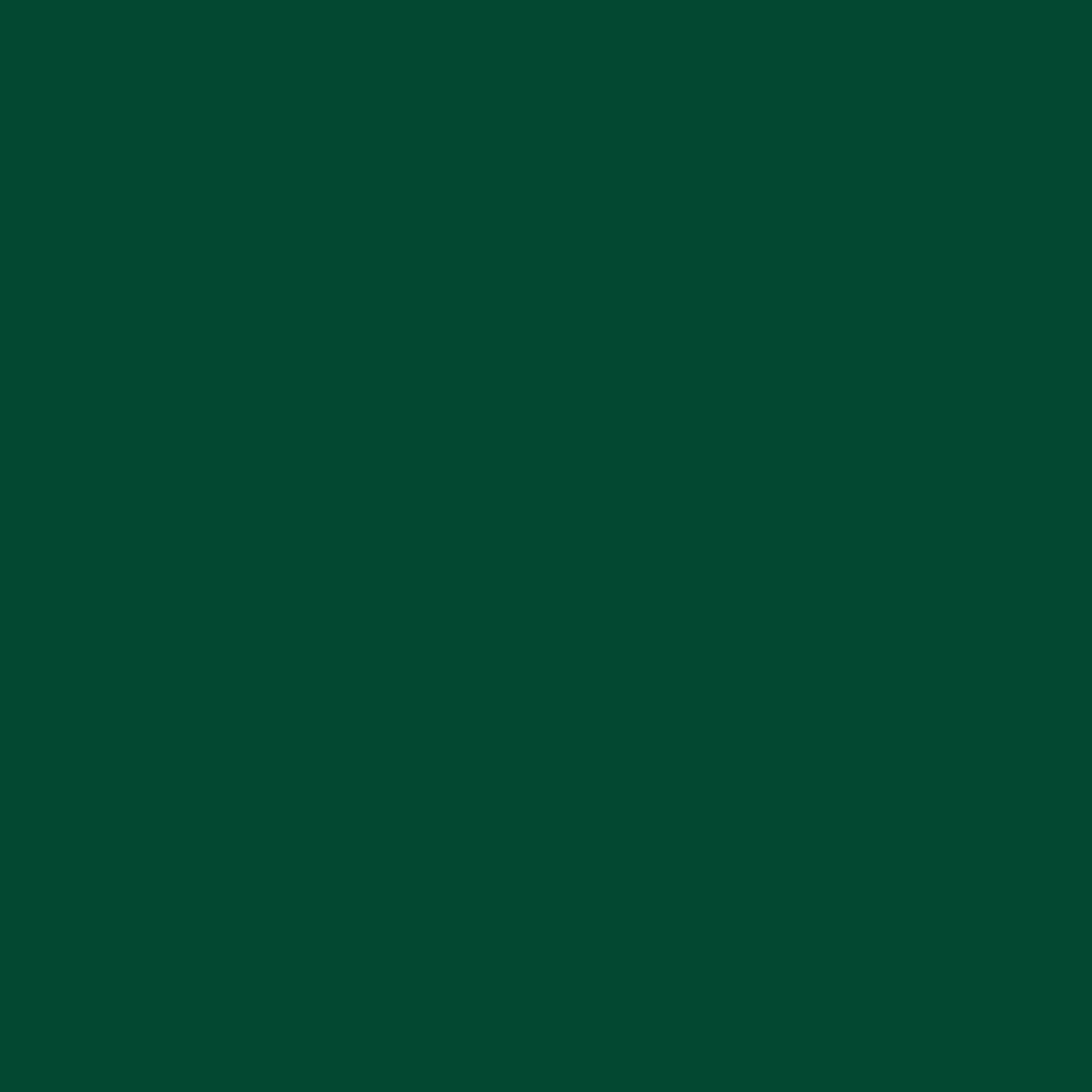Sight-Seeing Intense Colored Kajal- Malabar Green (Dark Green) Water-proof & Smude-Proof - Image 9